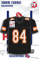 Arena Football ALBANY FIREBIRDS JERSEY 1990 Season