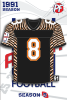 Arena Football DENVER DYNAMITE Jersey Update 1991 Season