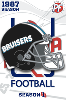 Arena Football League CHICAGO BRUISERS Set Purchase #654