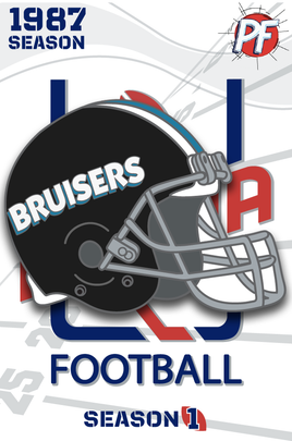Arena Football CHICAGO BRUISERS Helmet #664