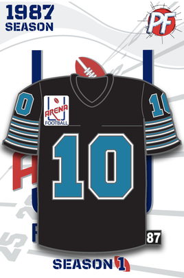 Arena Football CHICAGO BRUISERS Jersey #673