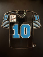 Arena Football League CHICAGO BRUISERS Set Purchase #654